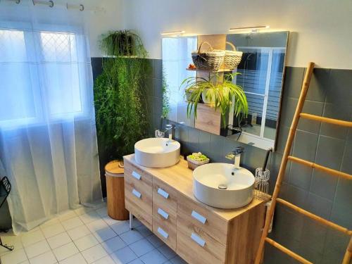 Grand-Village-PlageChambre spacieuse et calme的浴室设有两个盥洗盆,柜台上种植了植物