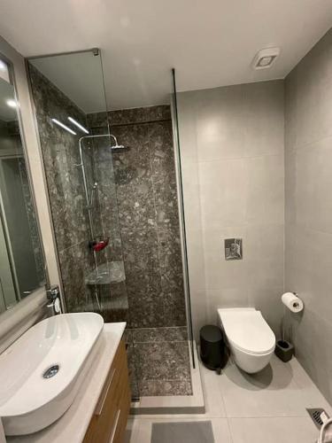 雅典Niarchos apartment III的带淋浴、盥洗盆和卫生间的浴室