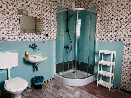 斯克拉斯卡波伦巴Willa Hektor的带淋浴、卫生间和盥洗盆的浴室