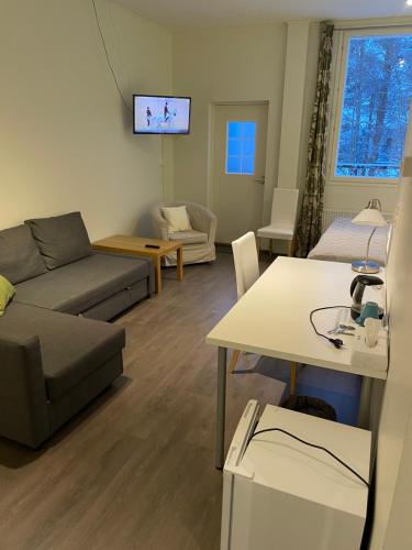波西奥拉品萨图酒店的客厅配有沙发和桌子