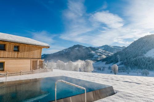 瑟尔Beim Hochfilzer Superior 4 Sterne的雪中带游泳池的房子