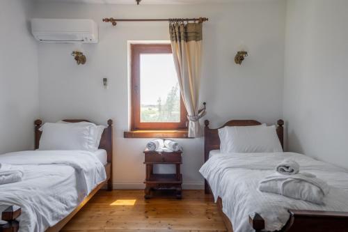 恰纳卡莱Serene House with Backyard in Bozcaada的一间卧室设有两张床和窗户。
