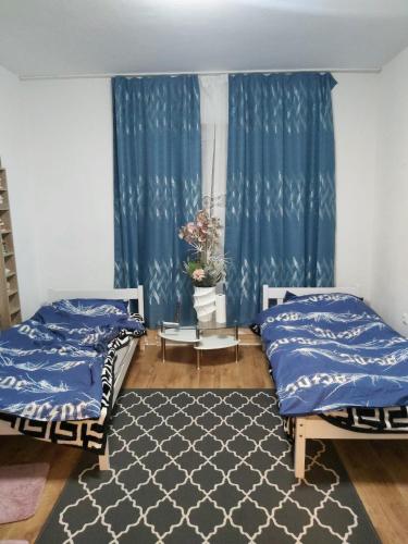 杜塞尔多夫1 Zimmerwohnung mit Küche, Balkon und Badezimmer in Düsseldorf Apartmen的配有蓝色窗帘和地毯的客房内的两张床