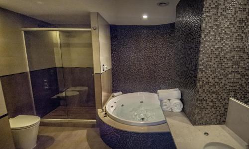罗萨里奥阿美里安罗萨里奥港酒店的带浴缸、卫生间和淋浴的浴室。