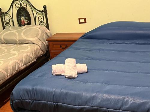 拉奎拉SantaRufinaHome的蓝色床上的一条毛巾