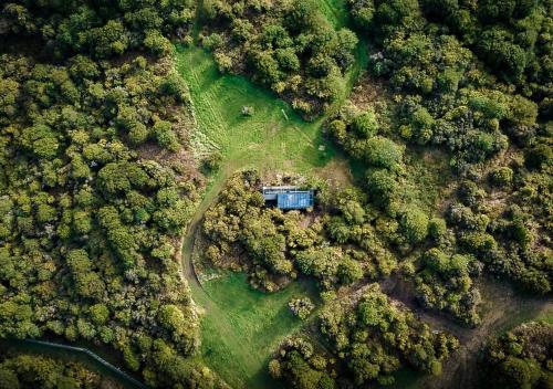 斯图尔特岛Tokoeka PurePod的森林中间房屋的空中景观