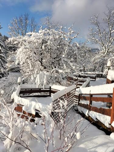 维斯瓦Agroturystyka Na Kępie的雪覆盖的公园,有长椅覆盖着雪