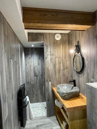 昂塞勒Appart Hôtel Le JAS的浴室设有木墙、水槽和镜子