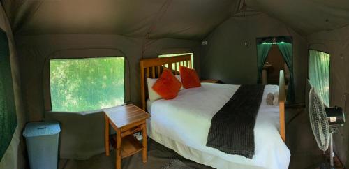 侯斯普瑞特Mzsingitana Tented Camp的帐篷内一间卧室,配有一张床