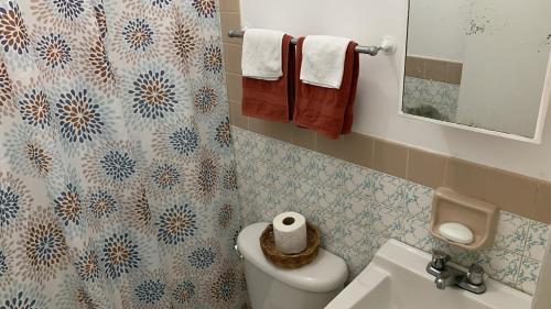 蒙特哥贝N & A PALACE的一间带卫生间、水槽和镜子的浴室