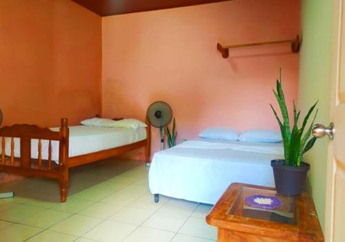 莫约加尔帕Rustic House Hostel的一间卧室配有两张床和一张植物桌子