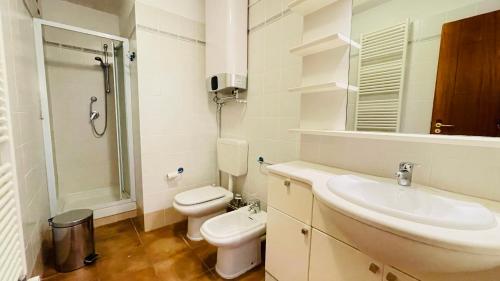 巴多尼奇亚Appartamento Smith Nebbiolo - Affitti Brevi Italia的一间带水槽、卫生间和淋浴的浴室