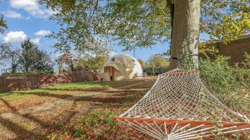 牛津Luxury Dome with Private Wood-Fired Hot Tub的树旁院子的吊床