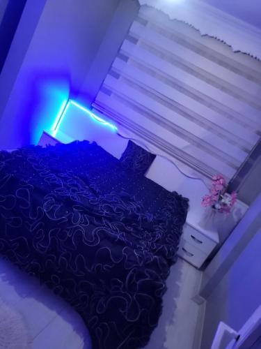 埃尔祖鲁姆Erzurum DAMAK GRUP的一间卧室配有一张床和蓝色的灯光