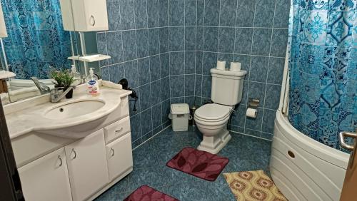 普里什蒂纳City Park Apartments的浴室配有卫生间、盥洗盆和淋浴。
