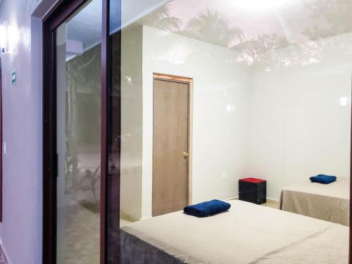 巴卡拉尔Hotel Blue Turtle的带两张床和玻璃门的房间