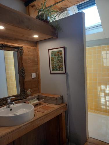 Châtresle Portail bleu的一间带水槽和镜子的浴室