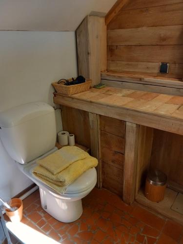 Châtresle Portail bleu的一间带卫生间和木台面的浴室