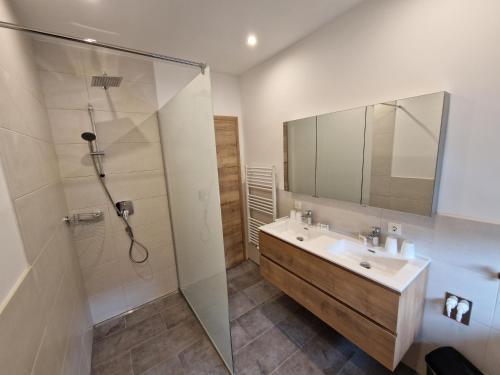 阿尔滕马克特蓬高Appartement Sami的一间带水槽和淋浴的浴室