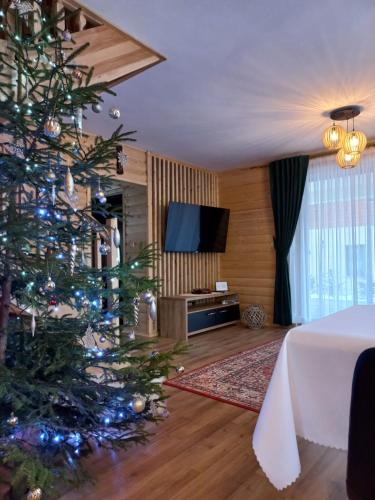 ManiowyDomek na Hubce II的客厅里的圣诞树,配有电视