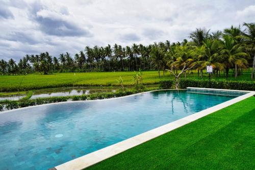 乌布Adil Villa & Resort的一座拥有绿色草地和棕榈树的游泳池