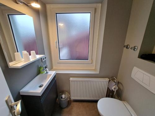 贝希特斯加登阿尔皮纳酒店的一间带卫生间、水槽和窗户的浴室