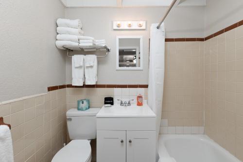 Lake PanasoffkeeIdlewild Lodge and RV Park的浴室配有白色卫生间和盥洗盆。