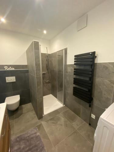 绍滕斯Leonies Appartement的带淋浴和卫生间的浴室