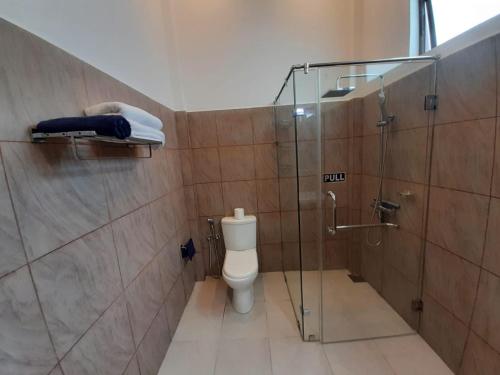 GalewelaMARGOSA MOUNTAIN VILLA的一间带玻璃淋浴和卫生间的浴室