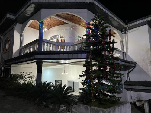 BueaApex guest facility的房子前面的圣诞树