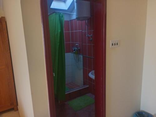 贝尔格莱德Kuca Veljovica的带淋浴的浴室和玻璃门