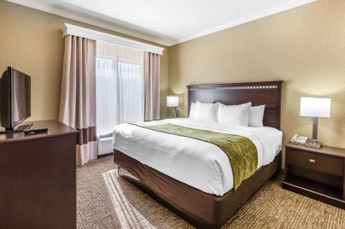 大学城德克萨斯大道舒适套房酒店的酒店客房设有一张大床和一台电视。