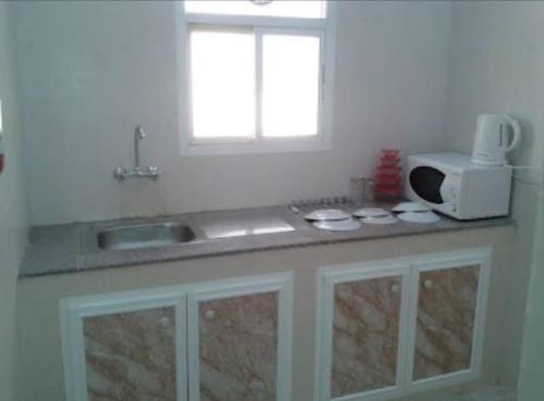 苏尔Al Basateen Hotel Apartment的厨房柜台设有水槽和微波炉