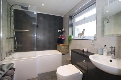 卡莱尔Luxury House Near City Center Hospital &Superstore的浴室配有卫生间、盥洗盆和淋浴。