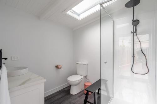 朗塞斯顿Two Worlds Townhouse的白色的浴室设有卫生间和玻璃淋浴间。