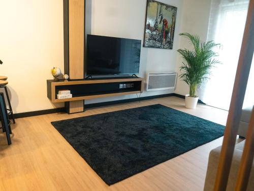 摩兰吉斯Appartement Neuf- Morangis-Orly的一间带电视和黑色地毯的客厅