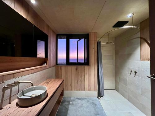 布雷默贝Native Dog Cabin的一间带水槽和淋浴及窗户的浴室