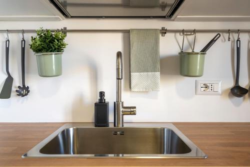 阿夸维瓦德莱丰蒂Luciano's : Abitare nel confort e nella luminosità的厨房水槽,墙上有两盆植物