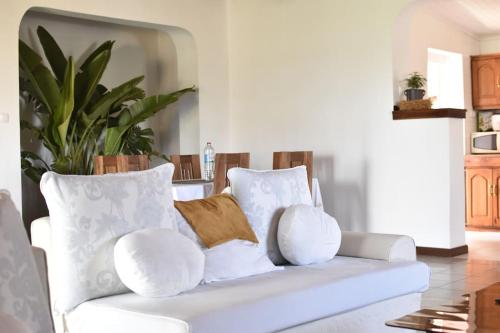 塔那那利佛Villa paisible proche des rizières的客厅配有白色沙发及白色枕头