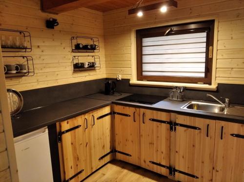 BystreReset Bieszczady的厨房配有木制橱柜、水槽和窗户。