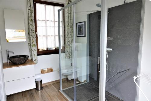 EsneuxLe Jardin des Miroirs的浴室设有玻璃淋浴间和水槽