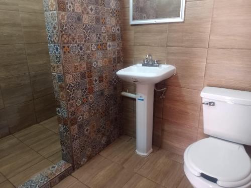 韦拉克鲁斯Hotel Verasol的浴室配有卫生间、盥洗盆和淋浴。