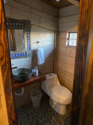 PeroteCabañas Agua del Oyamel的一间带卫生间和水槽的小浴室