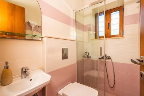 ÉvyirosIris Villas Lefkada - Karavi Villa的浴室配有盥洗盆、卫生间和淋浴。