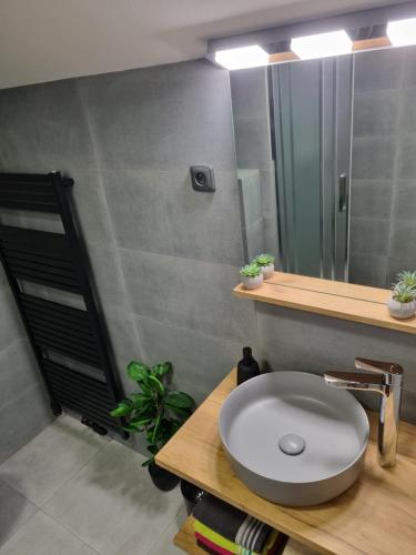 姆拉代布基Penzion U našich的一间带水槽和镜子的浴室