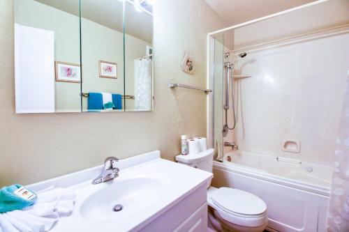 太阳谷Val D Sol #23的一间带水槽、卫生间和镜子的浴室