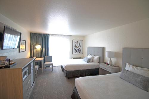 莫罗贝拉塞雷纳旅馆的酒店客房配有两张床和一张书桌