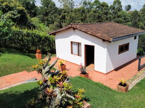 马里尼亚San José de las bromelias的一座小白色房子,在院子里有植物
