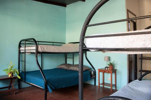 塔马林多Hostel La Botella de Leche - Tamarindo的一间卧室设有两张双层床和蓝色的墙壁