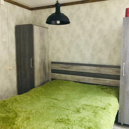 卡拉甘达Квартира в стиле лофт的配有一张绿毯的床的客房